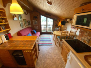 Châtel : Appart à 200m des remontées, balcon, parking, 4 pers. - FR-1-693-11